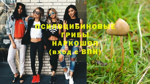 не бодяженный Баксан
